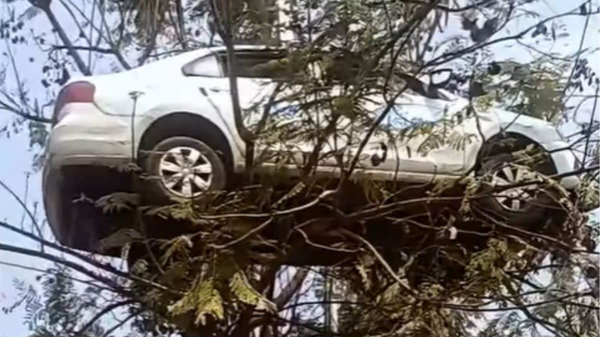 A car was found mysteriously lodged in a tree and no one really knows ...