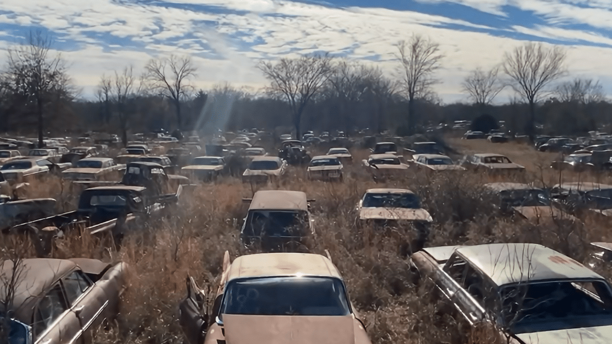Classic car graveyard has more than 1,000 cars from nearly every year ...