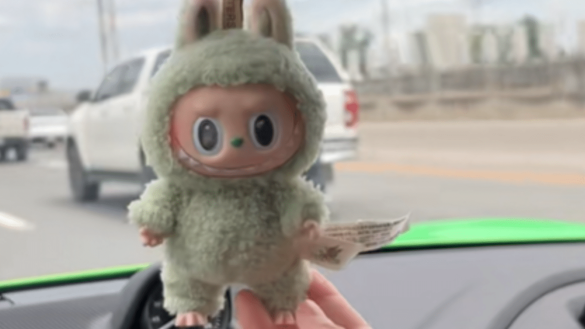 Drivers warned against following Labubu doll car trend after strange ...