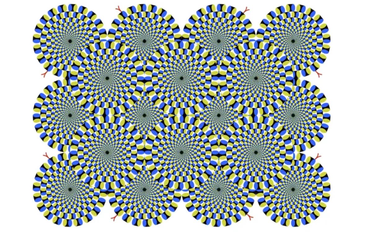 optical-illusion-blew-the-mind-of-ai-eiji-watanabe
