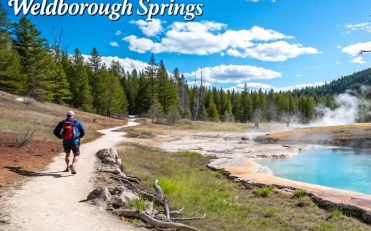 tourists-keep-turning-up-to-ai-landmark-tasmania-weldborough-hot-springs-that-doesnt-exist