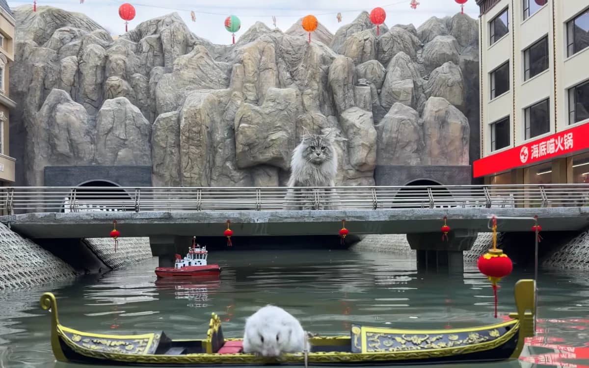 man-built-city-for-cat-subway-xings-world