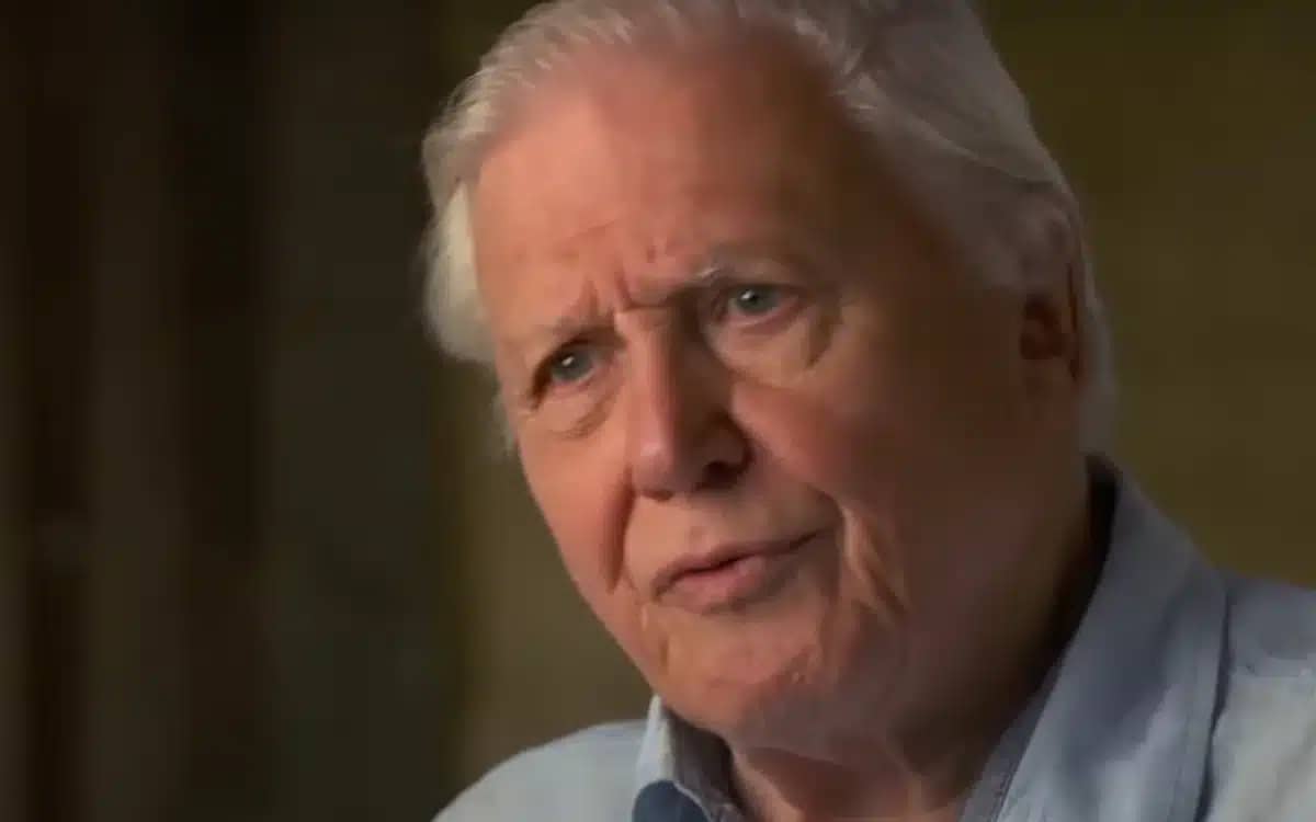 sir-david-attenborough-99-never-driven-passed-his-test