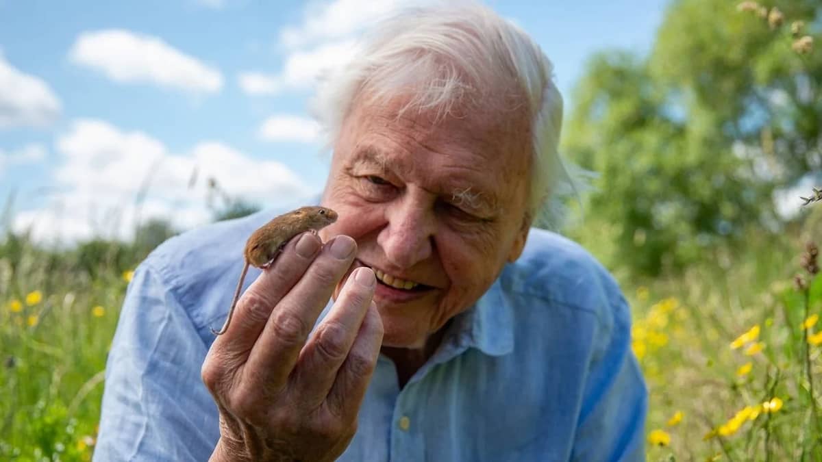 Sir David Attenborough has seen a lot of tech in his 100 years but one choice he made changed the world of TV forever