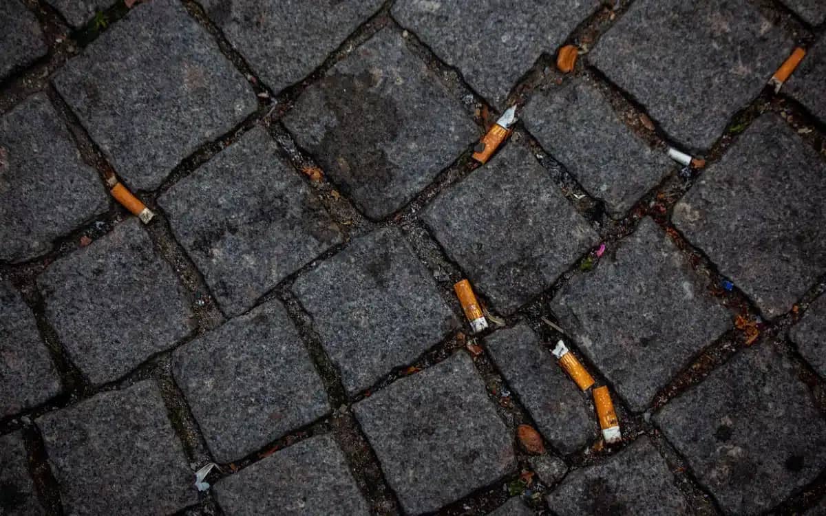 Scientists transform cigarette butts into additive that significantly improves road construction