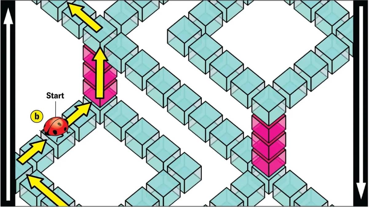 'Impossible' shape that shouldn't exist has been created by mathematicians and it's a genuine paradox