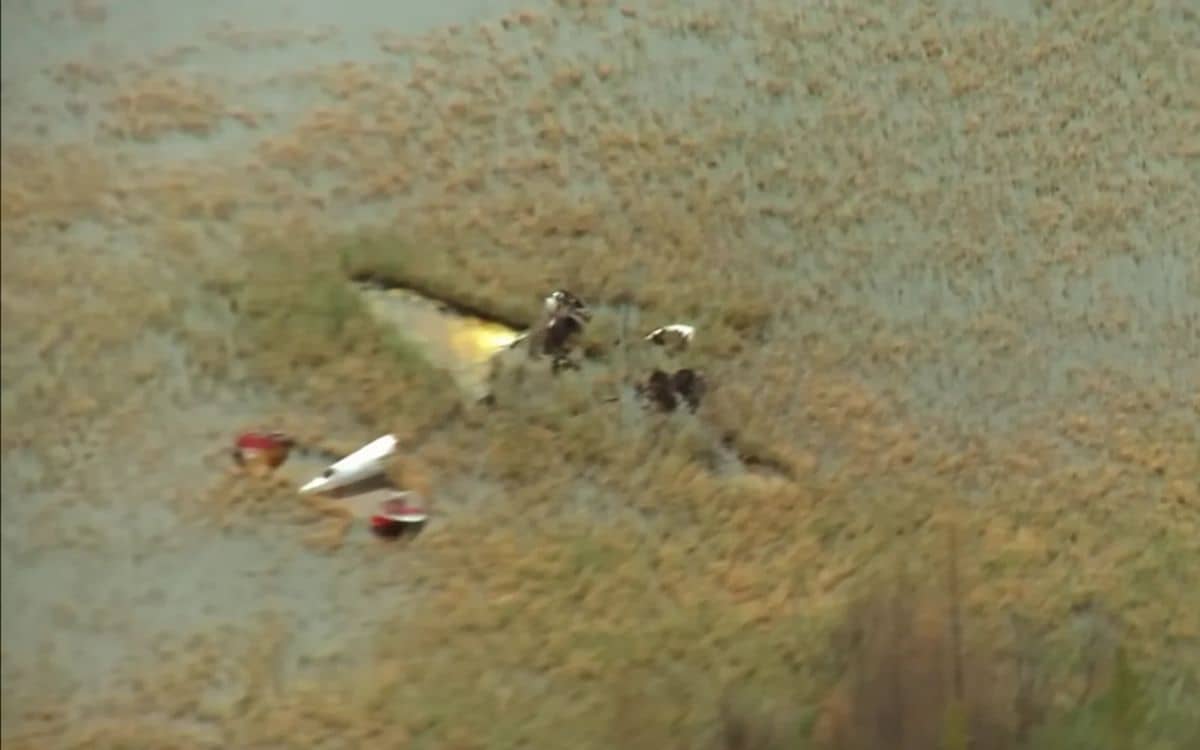 pilots-battle-swamps-to-recover-amelia-earhart-era-lockheed-electra