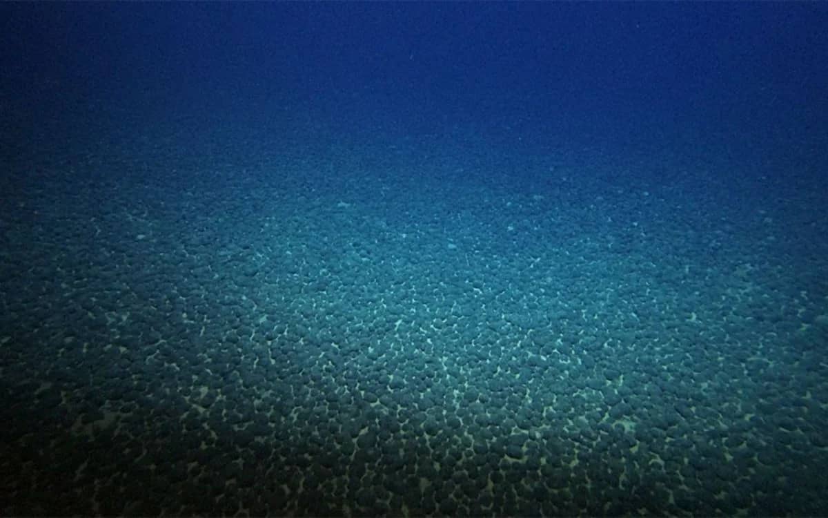 japan-discovers-new-metal-under-the-sea