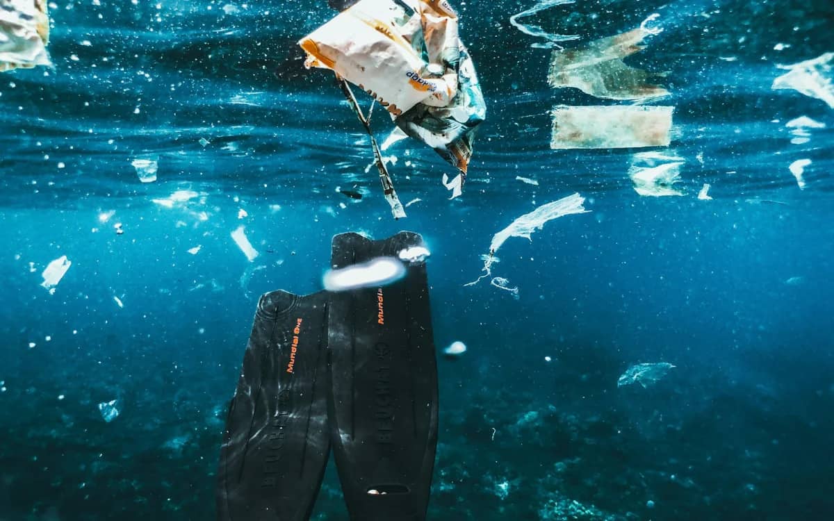 Virginia high school student creates membrane-free filter that removes microplastics from water at a low cost