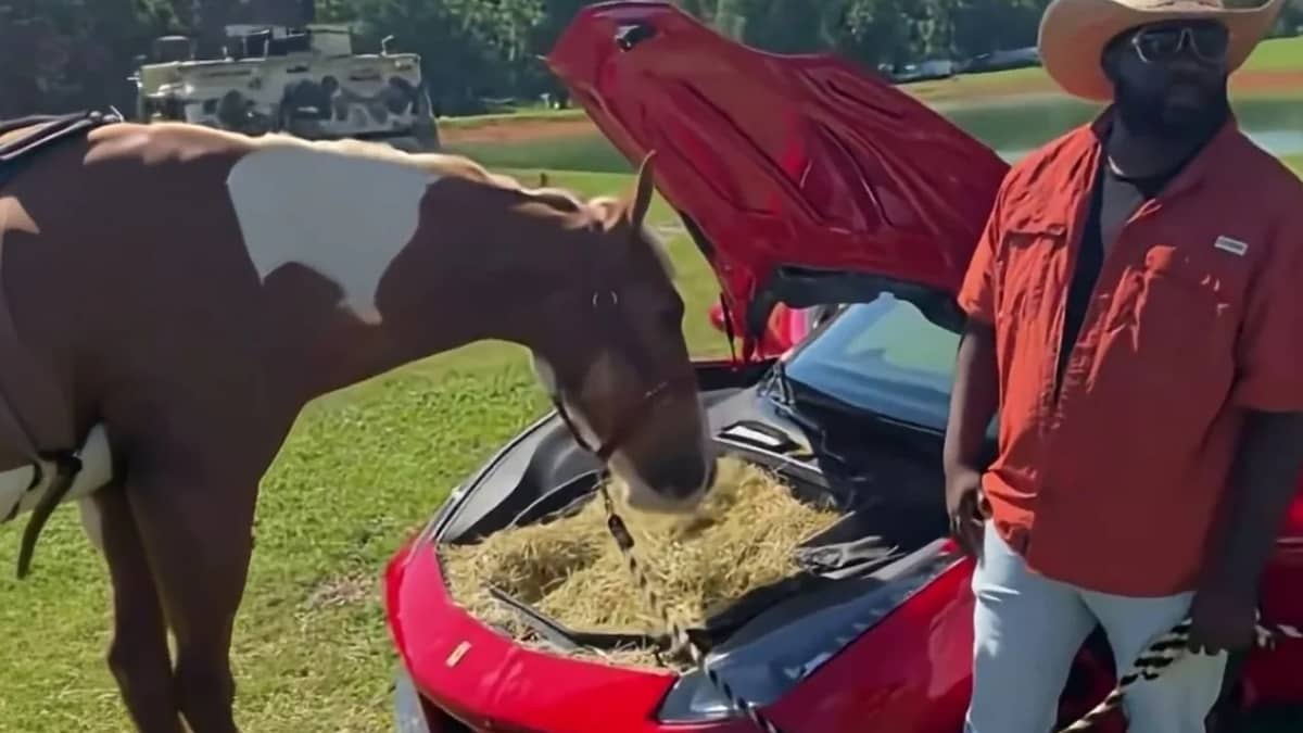 rick-ross-ferrari-supercar-horse-feeder