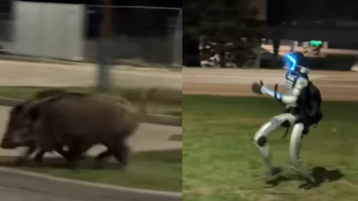 Bizarre viral footage shows an advanced humanoid robot actively chasing wild animals through a neighborhood