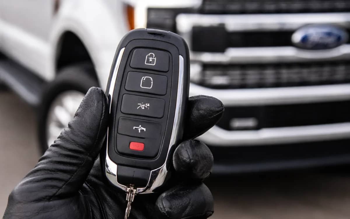 pennsylvanian-woman-stolen-vehicles-playful-act