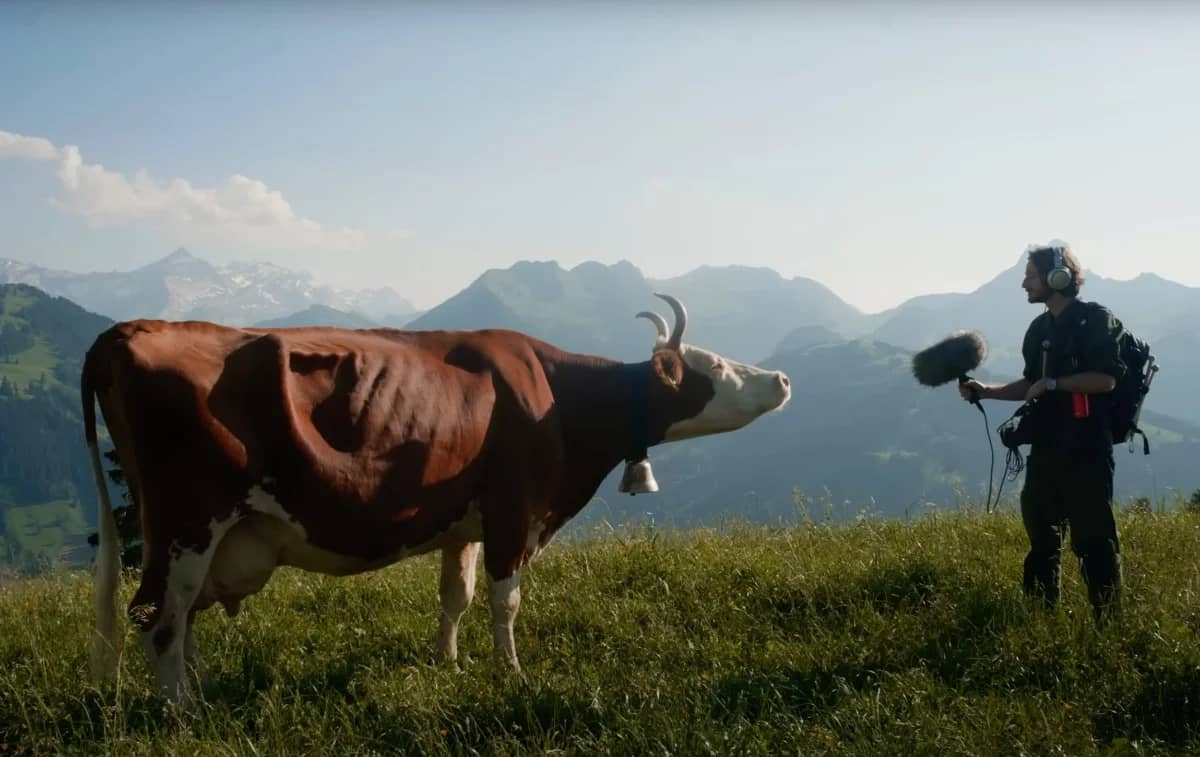 How one musician has used technology to turn 200 Swiss sounds into the wildest music project of the year