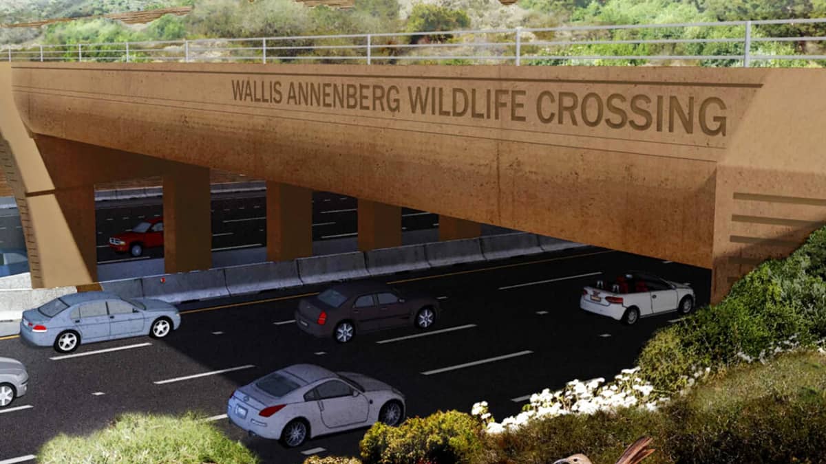worlds-biggest-wildlife-bridge-california-nearly-finished-three-years-later