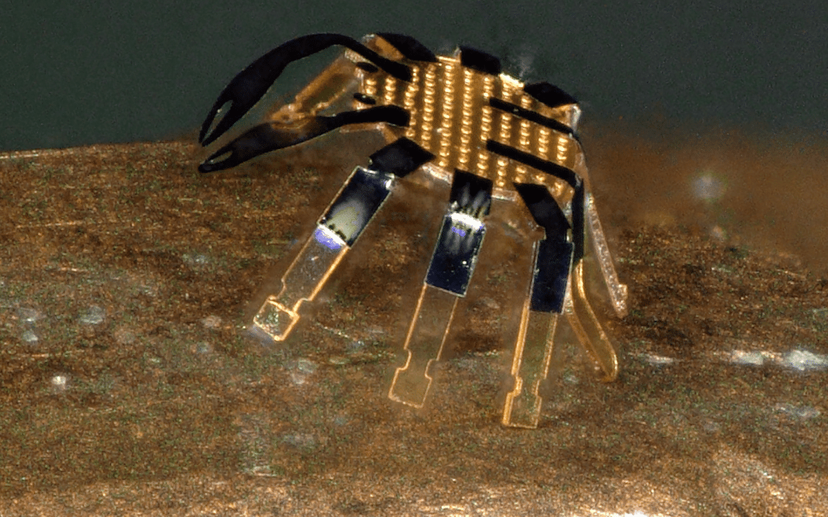 US university develops world's smallest remote controlled robot, so miniscule you wouldn't see it