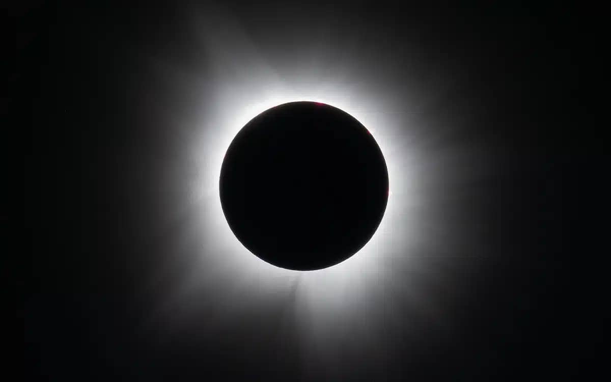 Elon Musk shares spectacular rare view of the solar eclipse from a Starlink satellite in orbit