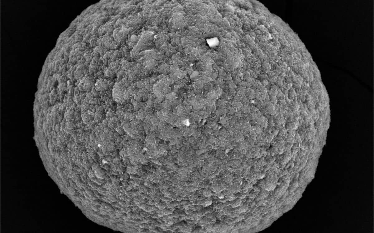 scientists-connect-16-mini-human-brains-to-create-a-living-computer