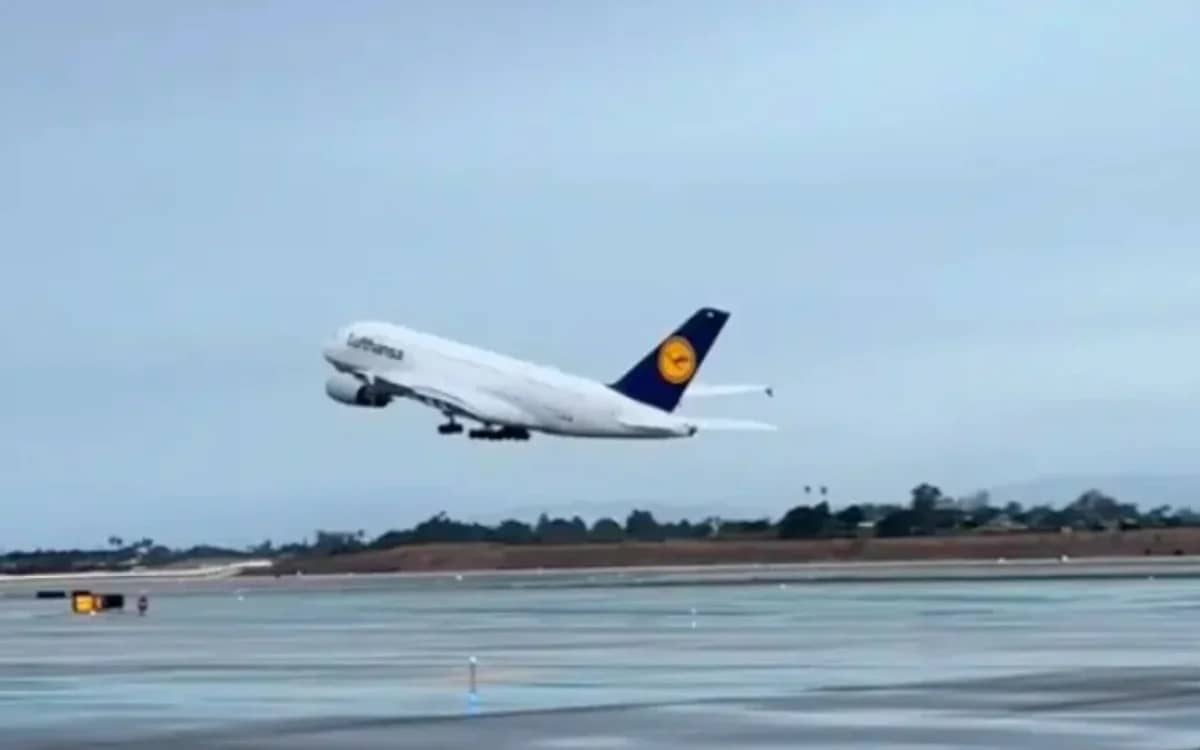 viral-videos-from-2025-on-the-edge-of-our-seats