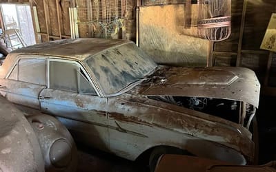 Someone discovered 18 classic cars sitting for 30 years on property they purchased as part of probate sale