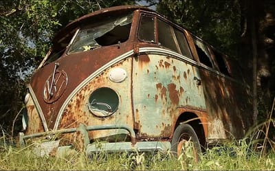 Volkswagen fans find rare VW bus in the woods but there’s a problem on the passenger side