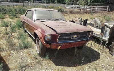 1967 Ford Mustang is in great condition but has been left to rot on private property