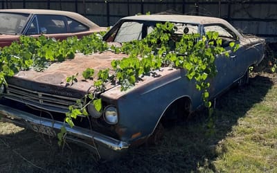 this-1969-plymouth-gtx-survived-45-years-in-texas-junkyard-now-on-ebay