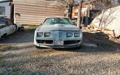 US man opens barn door after 40 years to find a 1979 Pontiac Firebird 10th anniversary edition with 6k miles