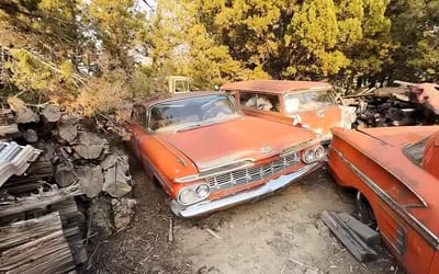 There is an unbelievable stash of cars in smoky location but this guy will give everything to save 1959 Impala