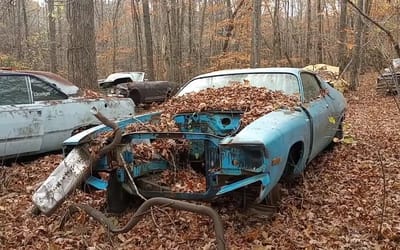 A stash of Mopars were found hidden in the woods; it includes Road Runners and a rare Satellite