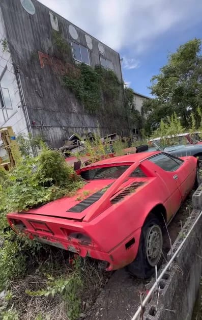 Man uncovers an abandoned luxury car dealership, and the cars inside are nothing short of unbelievable