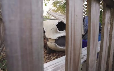 1962 Corvette forgotten for 14 years behind a fence in a Florida backyard