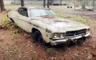 1973 Plymouth Satellite was buried under leaves in US car graveyard