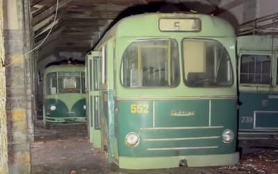 man-discovers-millions-of-dollars-worth-of-rare-vintage-buses