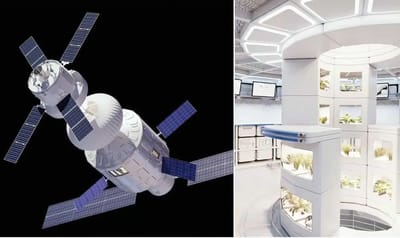 Airbus wants to take you into orbit with a new luxury space station