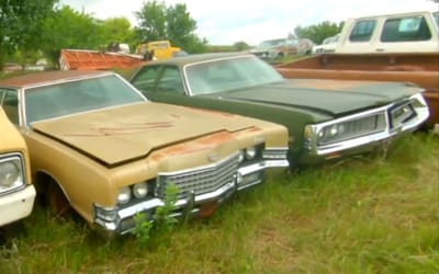 Random field in the Midwest is full to the brim of American classic cars shrouded in mystery