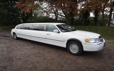 Brits who bought a rusty American limo for $1,050 reveal why their unusual choice is a contender for ‘best daily driver’