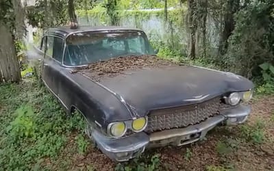 YouTuber driving through Florida randomly discovers a whole stash of extremely rare Cadillacs