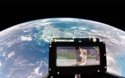 californian-youtuber-spends-5-million-find-a-way-people-go-to-space-for-free
