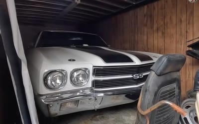 Five million dollars of classic cars lie in mysterious secret rural location