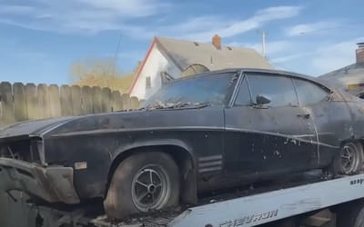 Abandoned Buick Skylark has hood lifted and there’s a dinosaur-looking creature in the engine