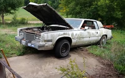 Farm in Minnesota packed full of old abandoned cars with a surprising discovery