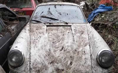 Secret garden is full to the brim with neglected overgrown classic cars that have not stood the test of time