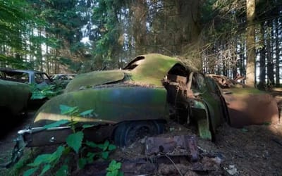 Belgian car graveyard features Pontiac Chieftains and Ford Thunderbirds that were abandoned by US troops during WWII