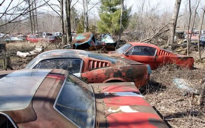 Gearhead discovered an old junkyard in Detroit filled with iconic Mustangs, GTOs and Corvettes