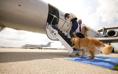 ‘Bark Air’ airline lands first private jet flight full of dogs