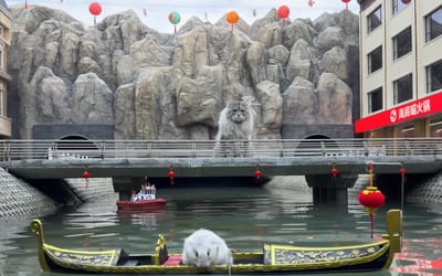 This YouTuber has built a full city for his cat featuring a working subway station to take the pet to school