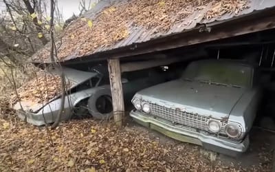 A lottery winner's hidden gems have created a classic car graveyard in the middle of nowhere after 30 years