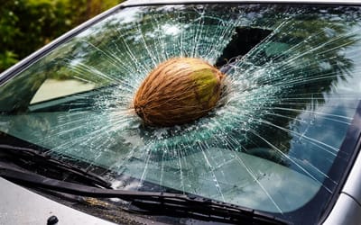 Car owner used neighbor's greed against them after a falling coconut destroyed his car