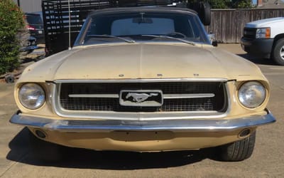 A used Mustang dealer is selling this 1967 convertible  and its interior is like no other