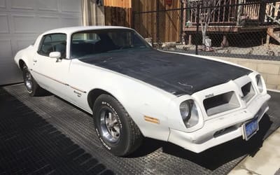 Woman left for Hawaii years ago and so her Pontiac Firebird has become abandoned with unseen issues